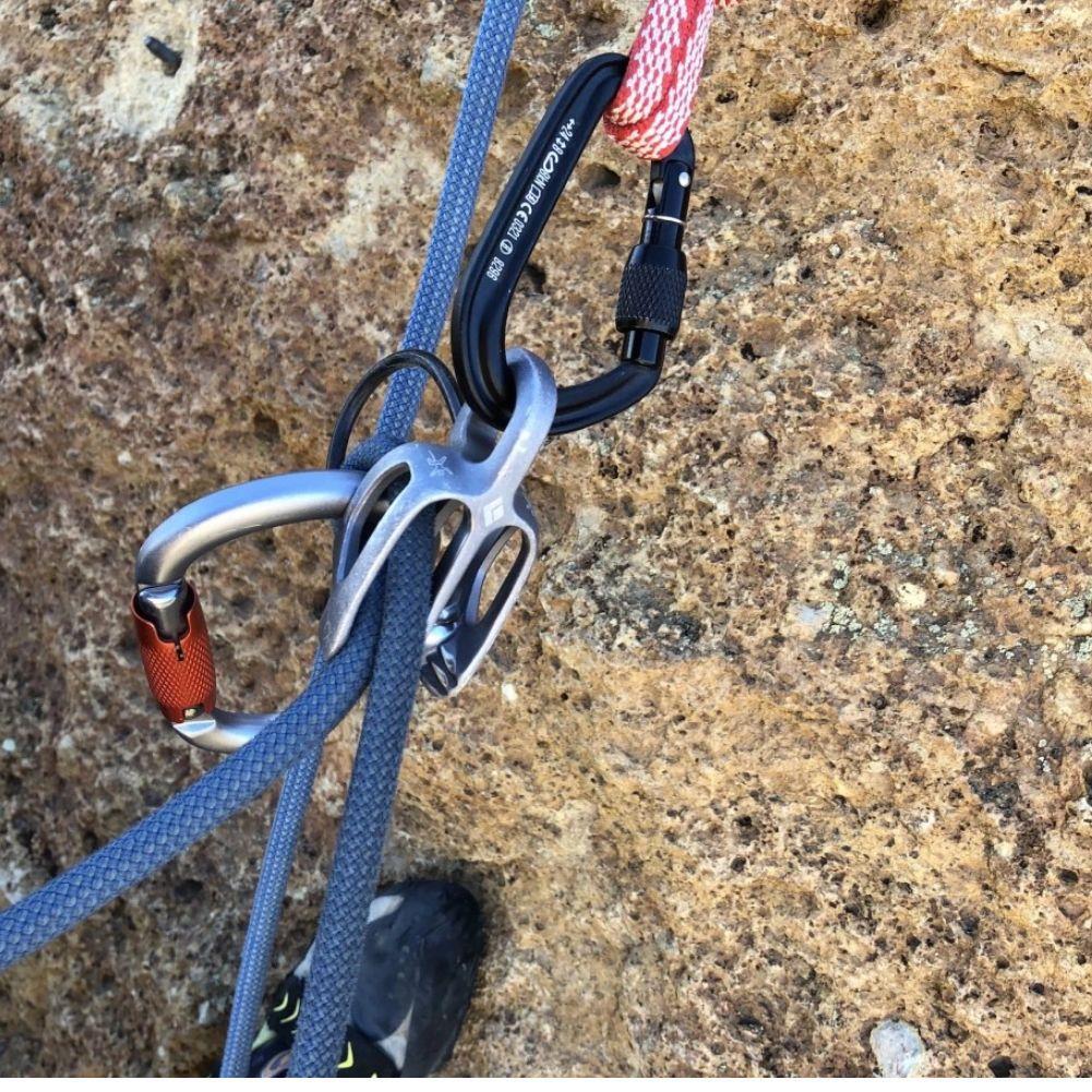 Black Diamond Hotforge Screwgate Carabiner (Black) - Image 3