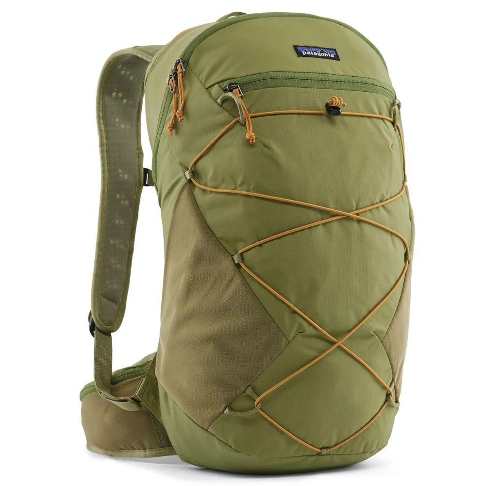 Patagonia Terravia 22L Backpack (Buckhorn Green)